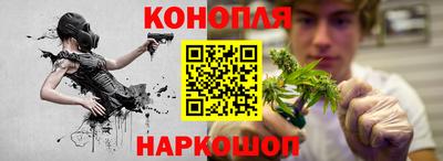 трава Будённовск